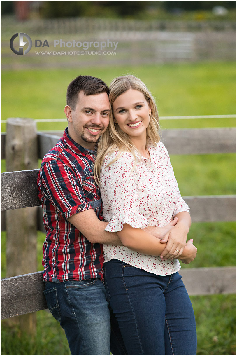 Horse Stable Engagement in Milton