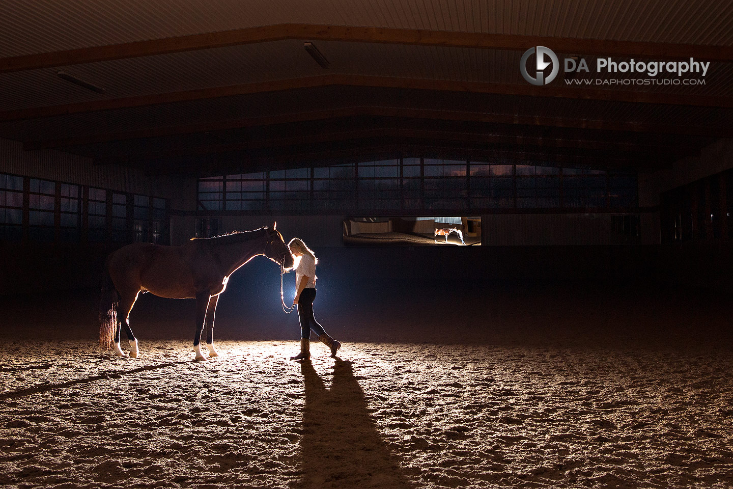 Engagement at Horse Stable