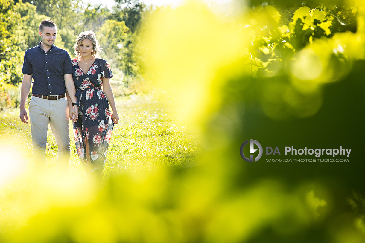 Gallucci Winery Engagement