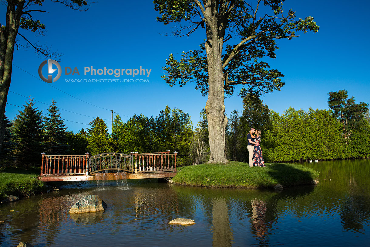 Engagement Photographers for Gallucci Winery