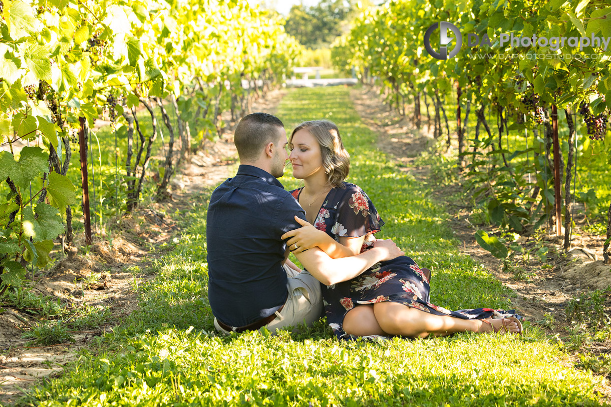 Engagement Photographs at Gallucci Winery