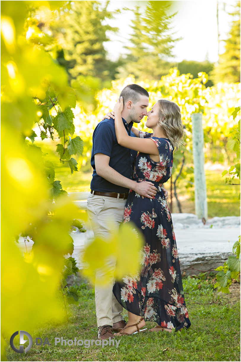 Engagement Photographer for Gallucci Winery