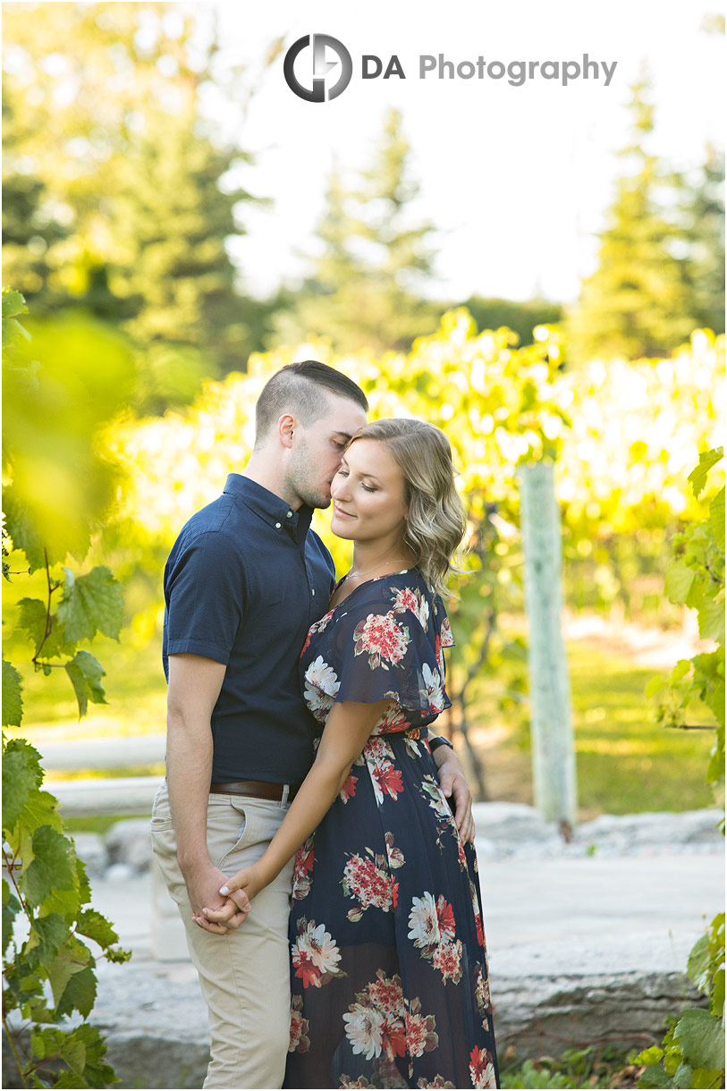 Gallucci Winery Engagement in Whitchurch-Stouffville