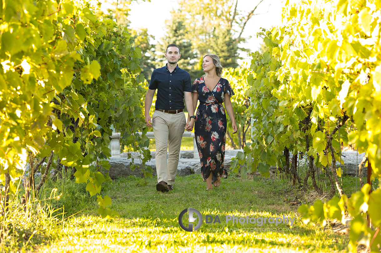 Engagement at Gallucci Winery