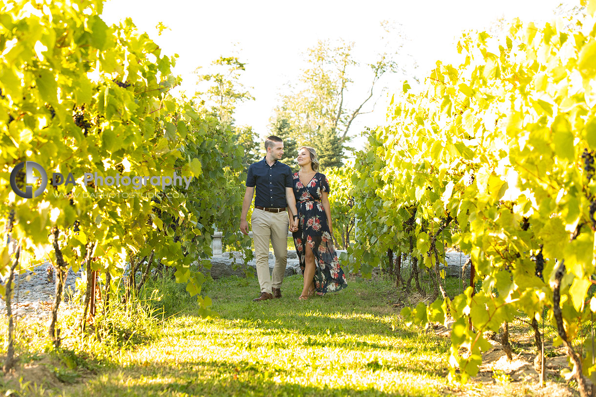 Gallucci Winery Photographs