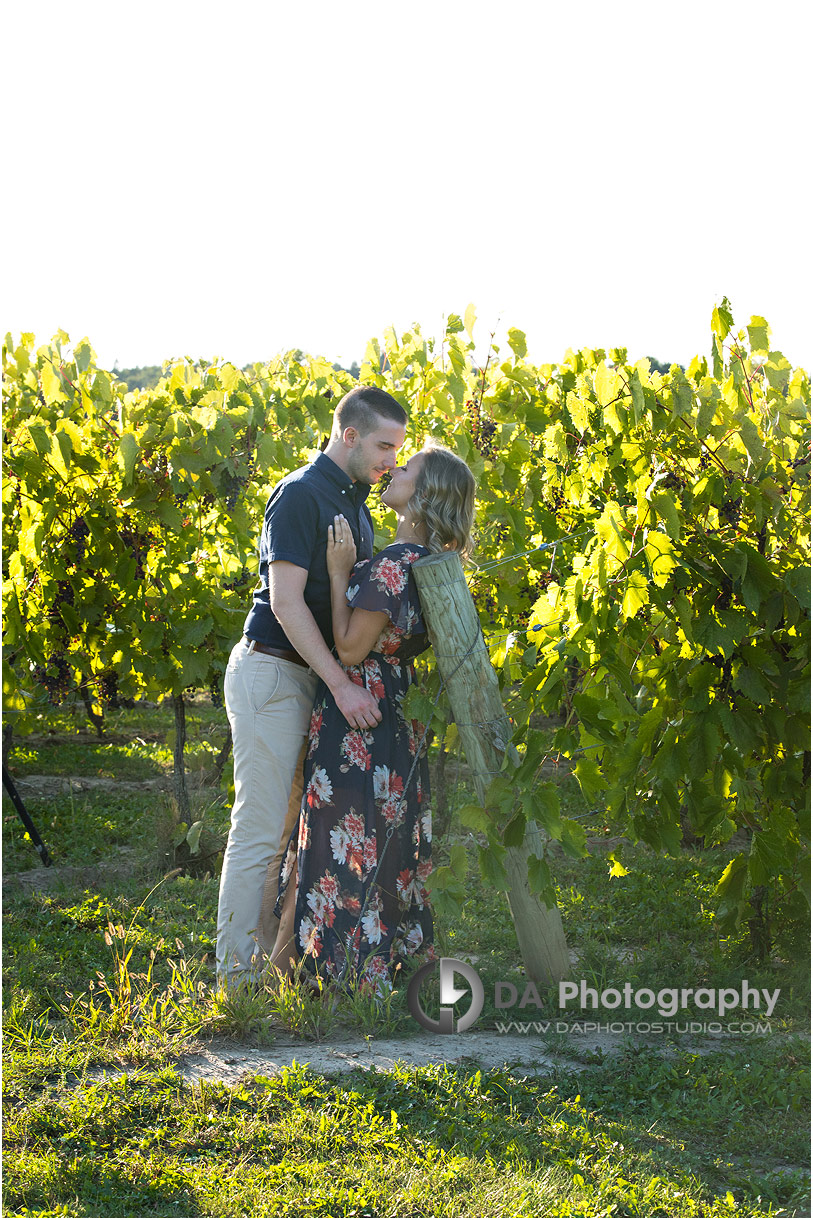 Gallucci Winery Garden Engagement