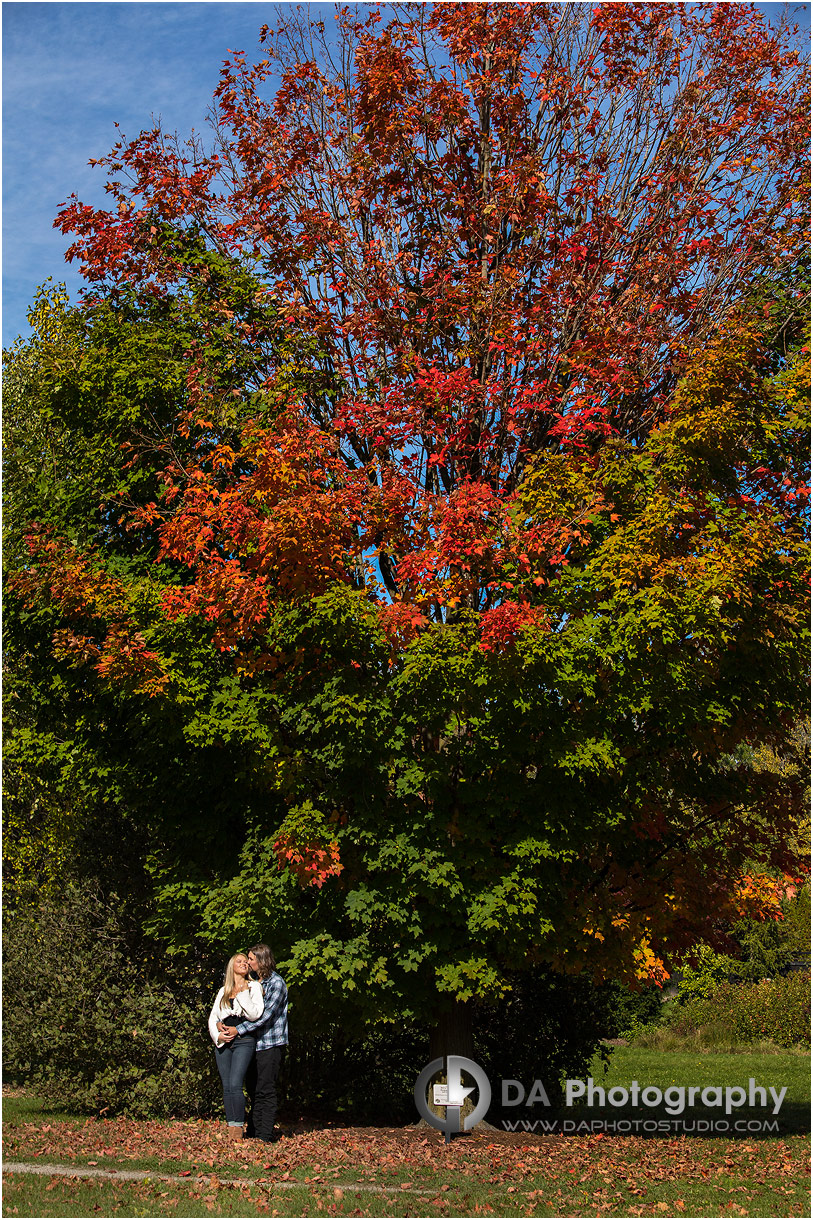 Fall Engagement Photograph in Guelph Arboretum