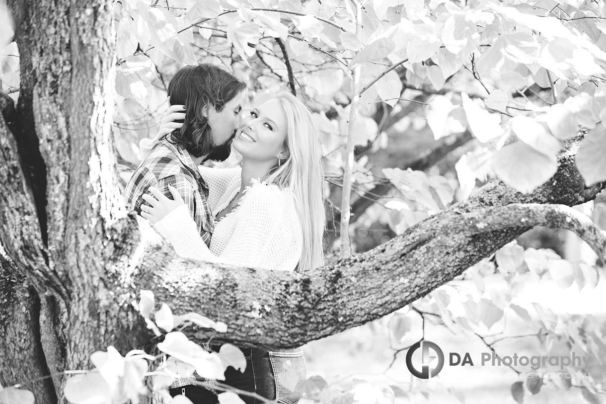 Engagement Photograph in Guelph Arboretum