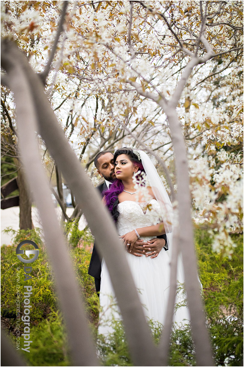 Wedding Photography in Brampton