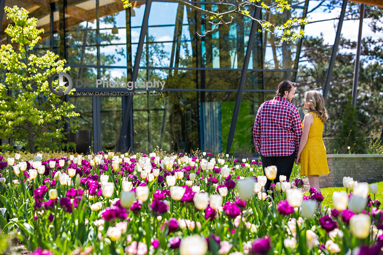 Burlington Engagement Pictures