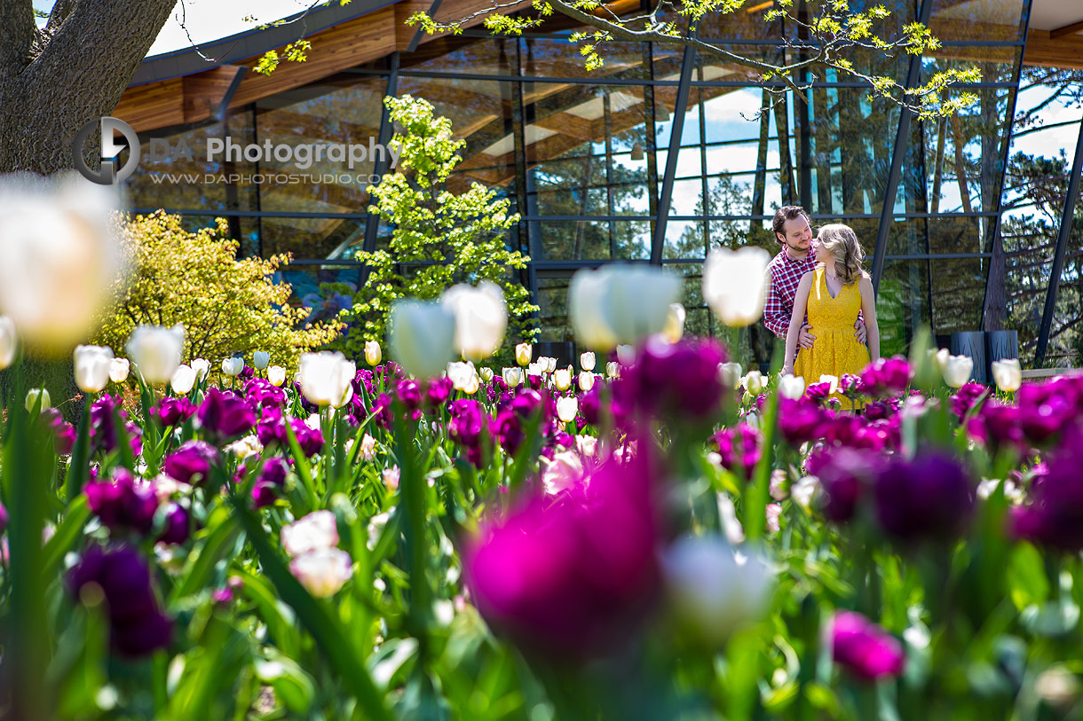 Rock Garden Photos