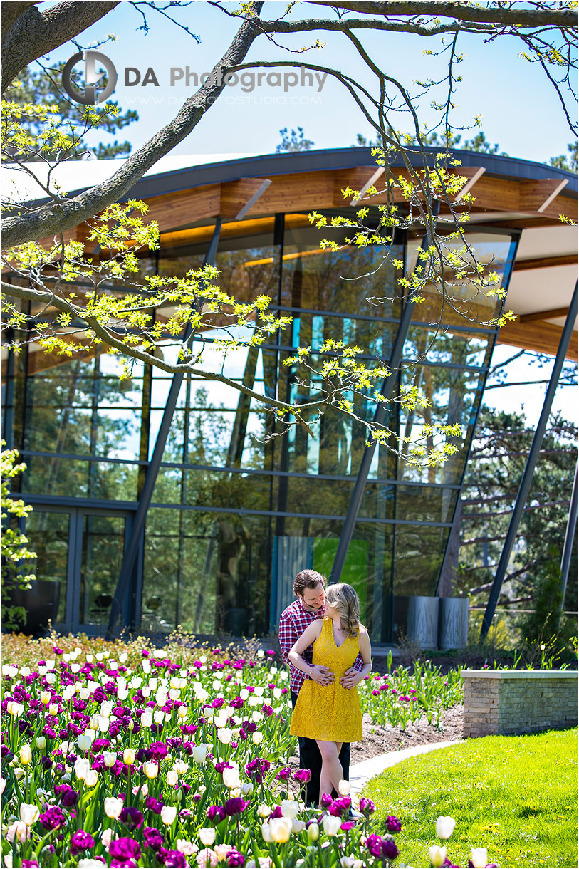 Engagements at Rock Garden