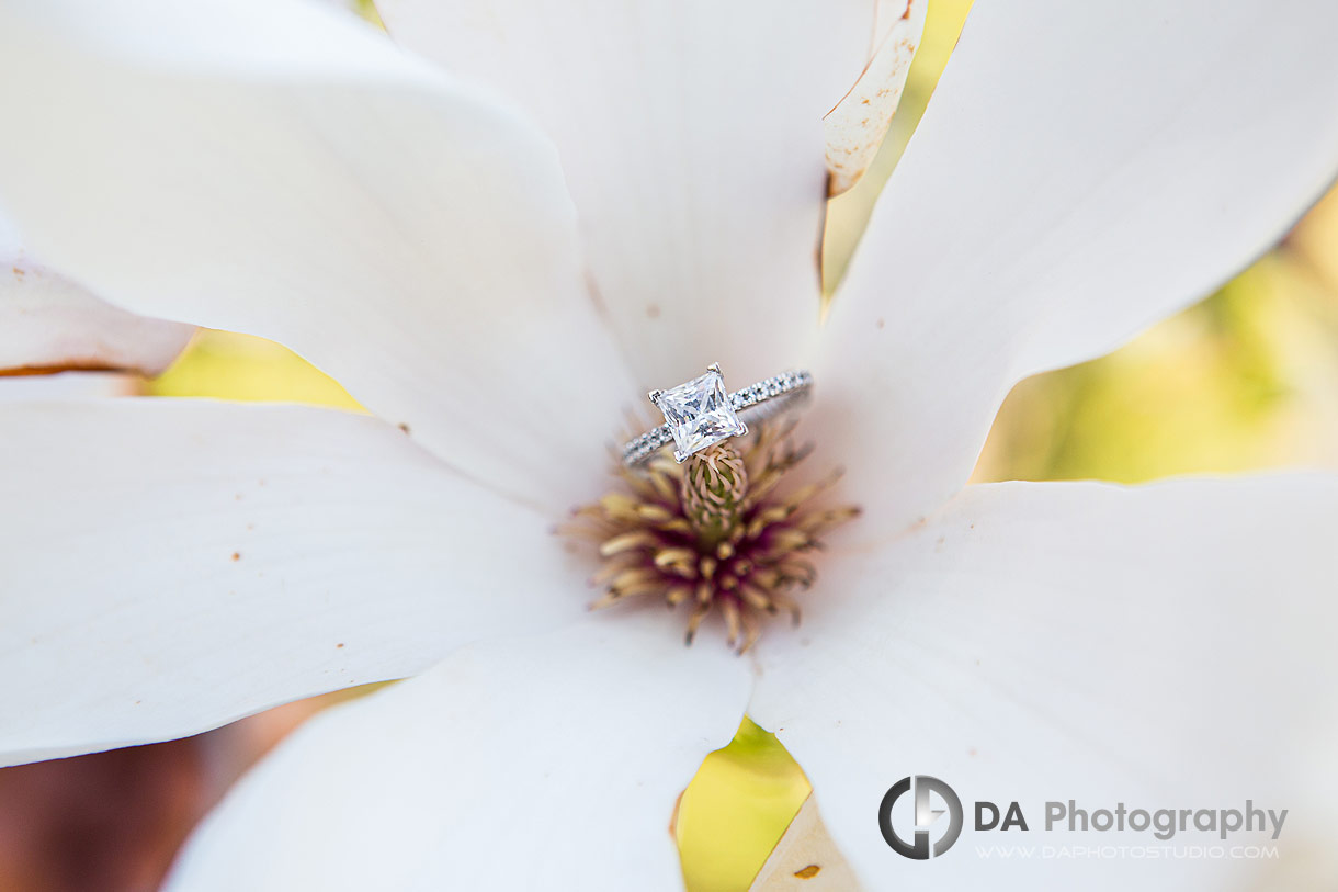 Burlington Engagement Photography