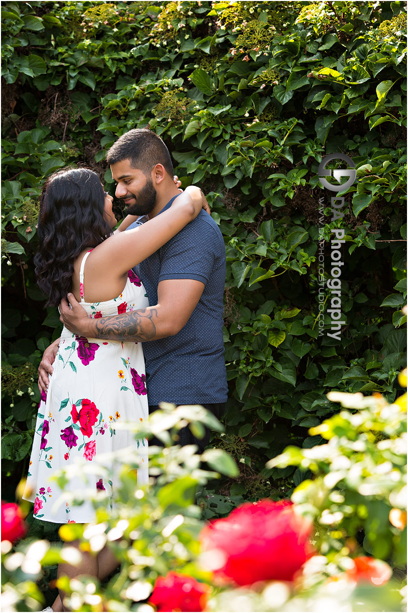 Oakville engagement photographers at Gairloch Gardens