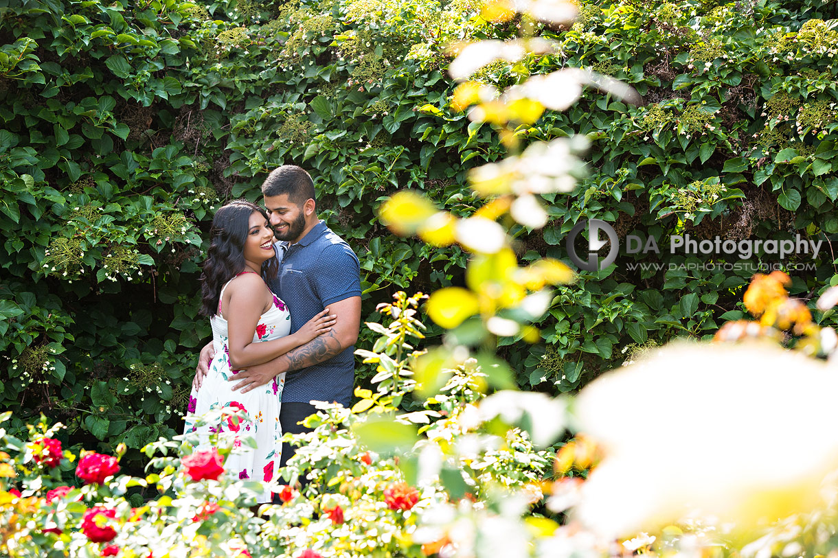 Engagement photographer in Oakville