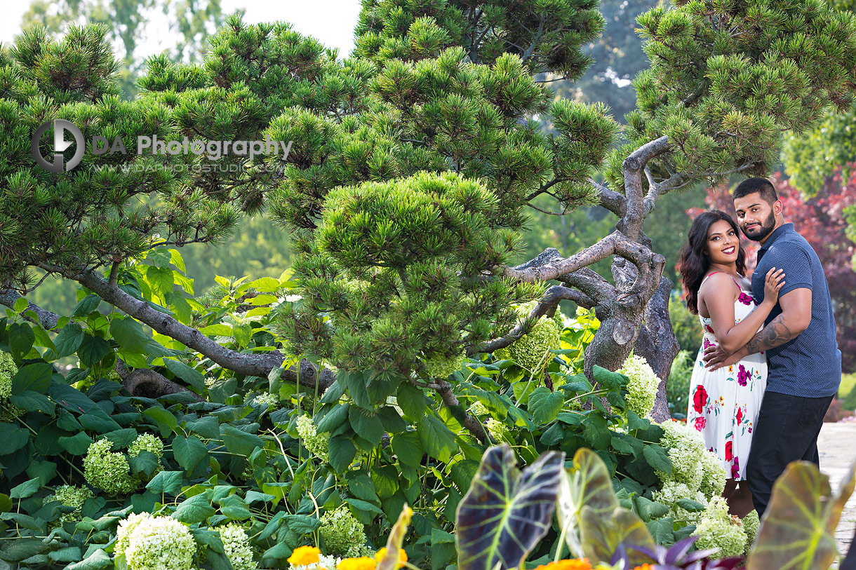 Best engagement photographer at Gairloch Gardens