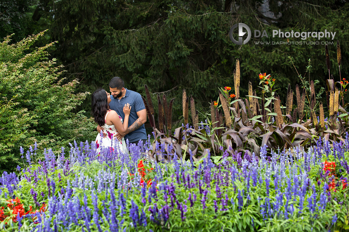 Intimate engagement photos at Gairloch Gardens