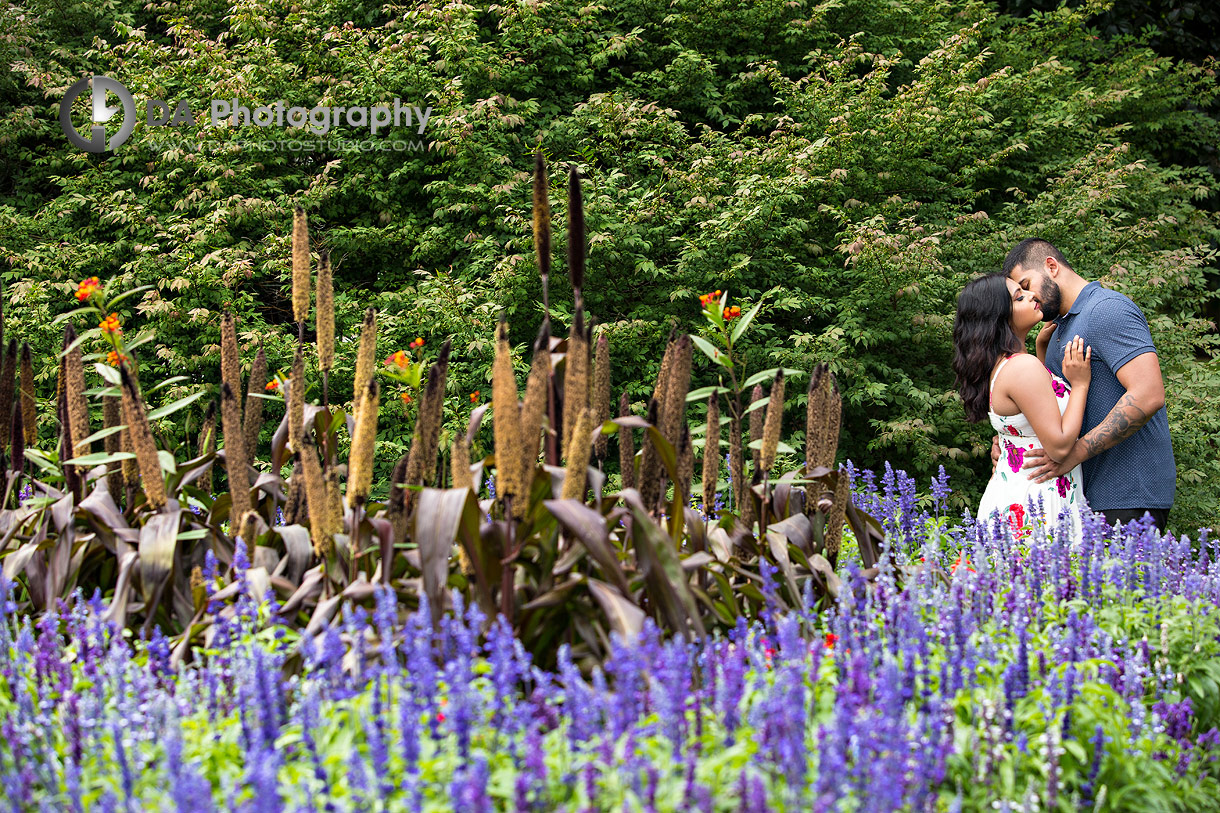 Intimate engagement photo in Oakville