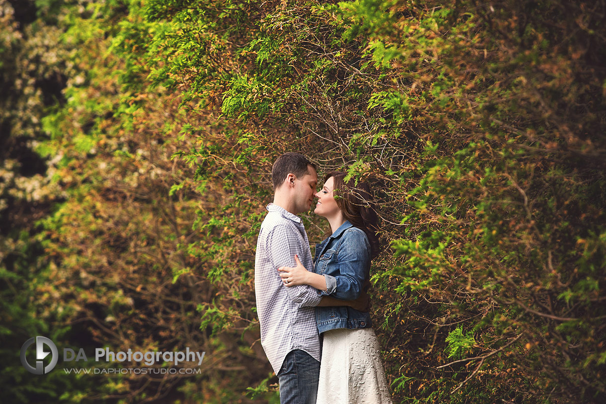 Gairloch Gardens engagements