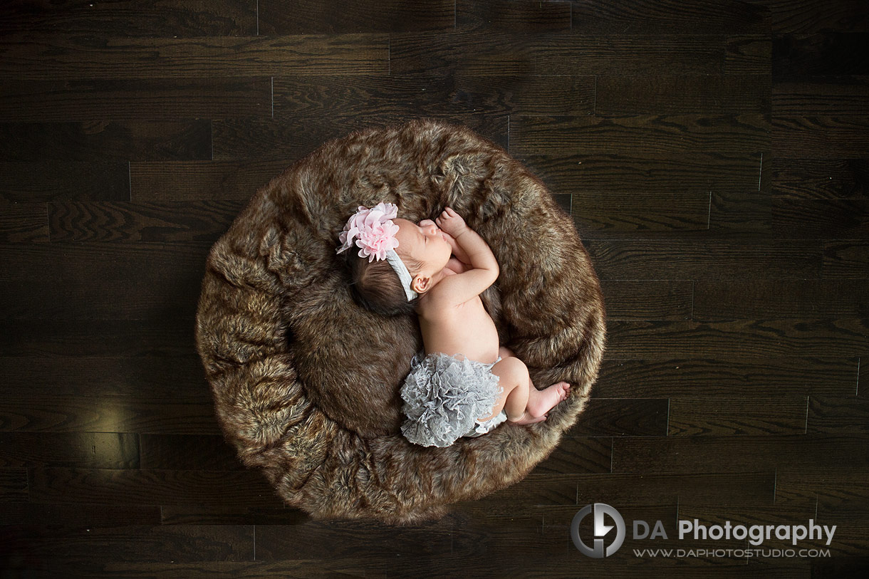 Best newborn photographer in Brampton