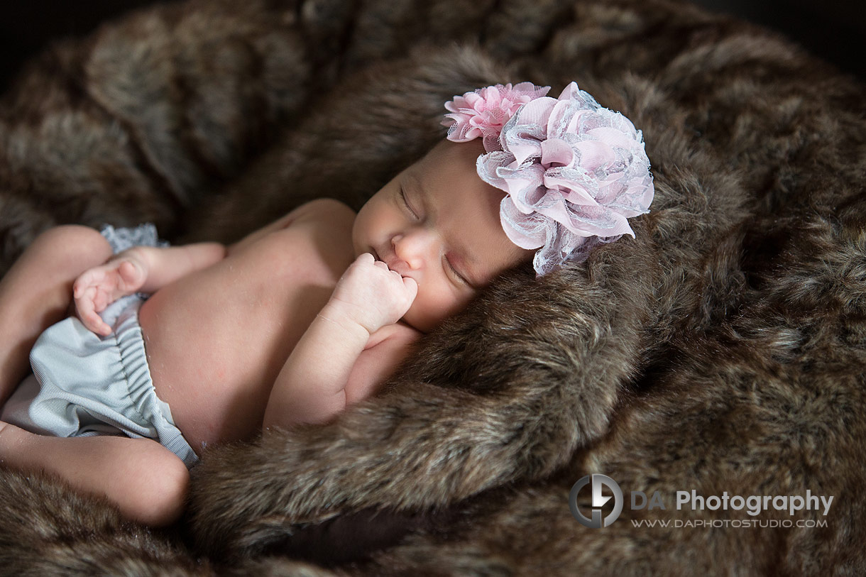 Newborn baby portrait