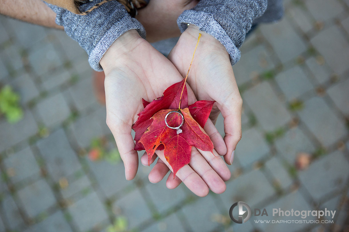 Engagement photographer in Burlington at Paletta Lakefront Park