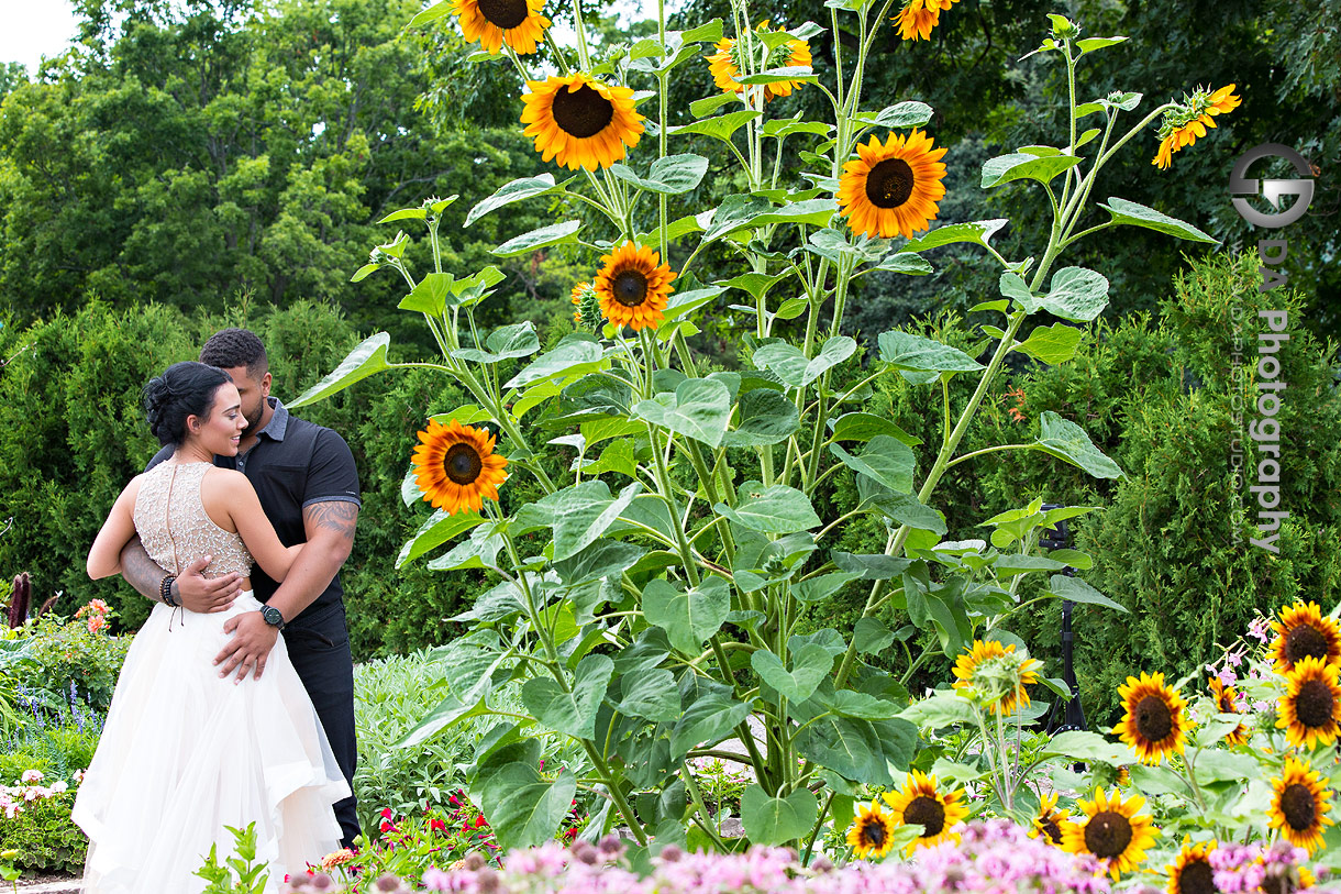 Burlington Hendrie Park Engagements