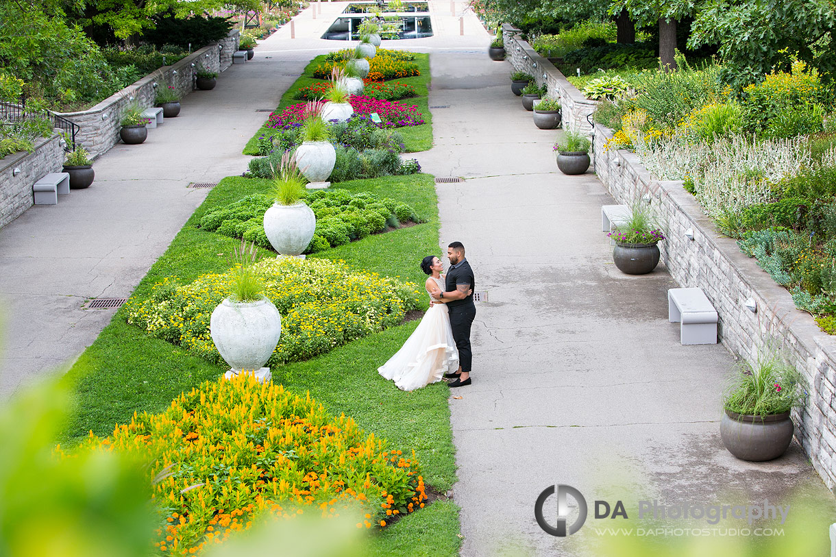 Hendrie Park Engagement