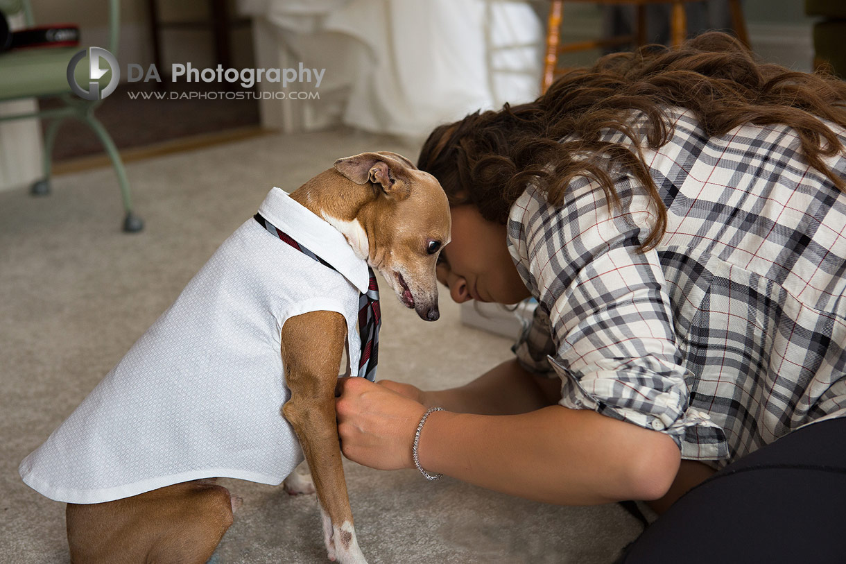 Farm Wedding Photos in Brantford