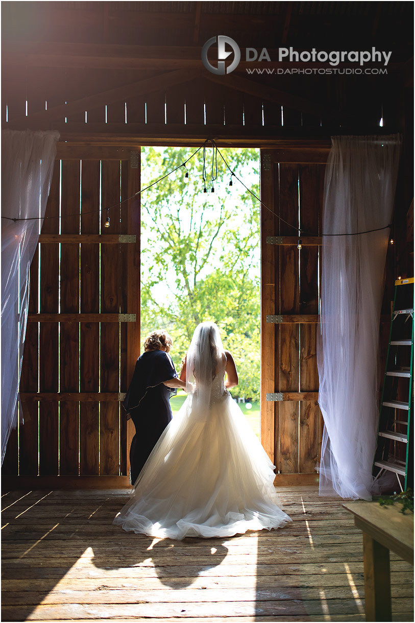 Photographs of Barn weddings