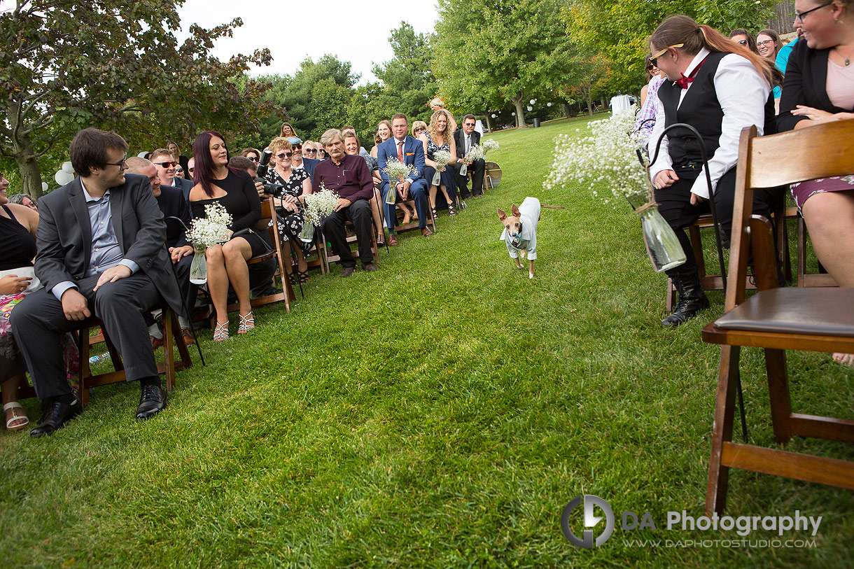 Brantford Wedding Ceremony