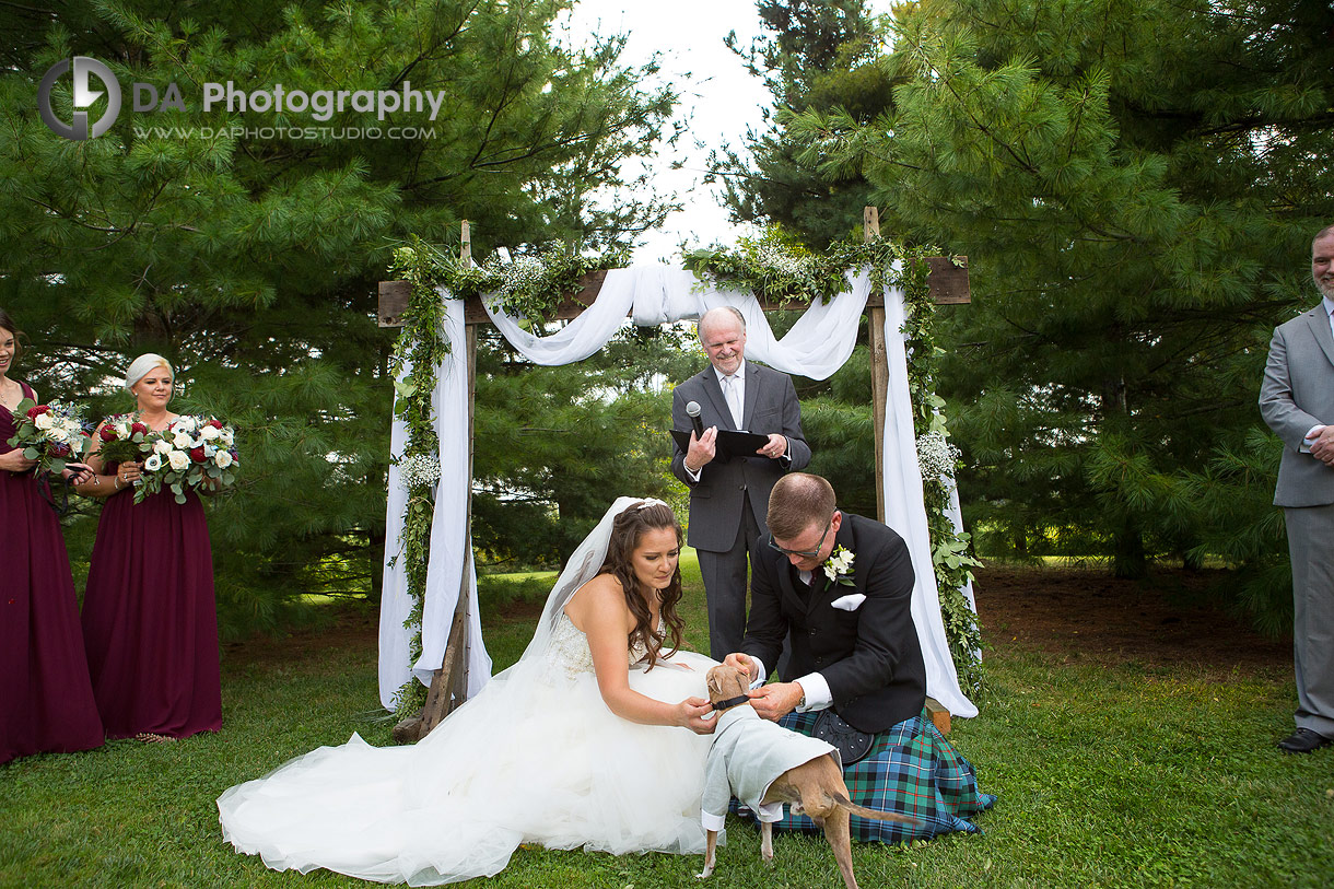 Barn Wedding Ceremonies