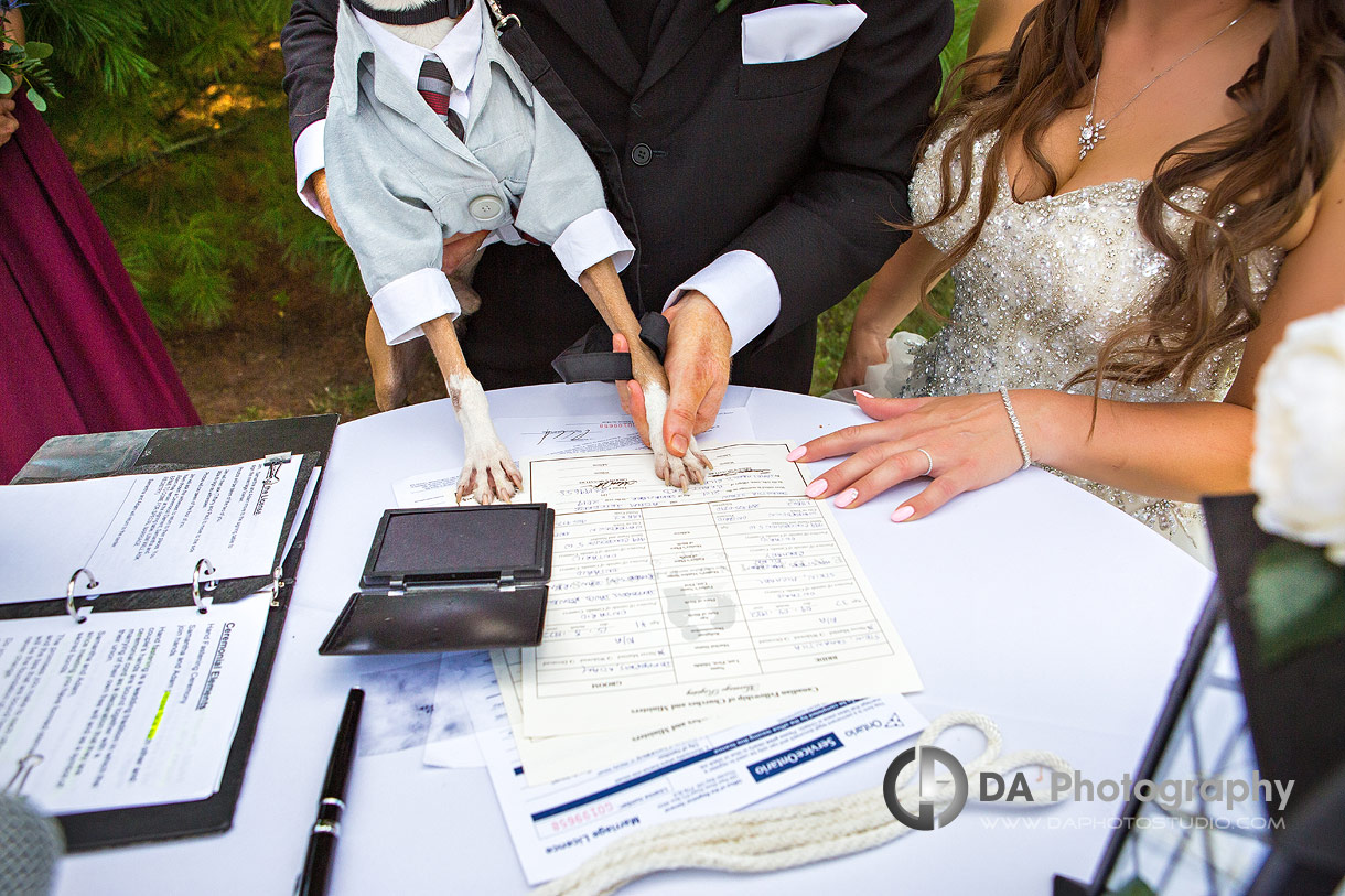 Photographs of Barn weddings in Brantford 