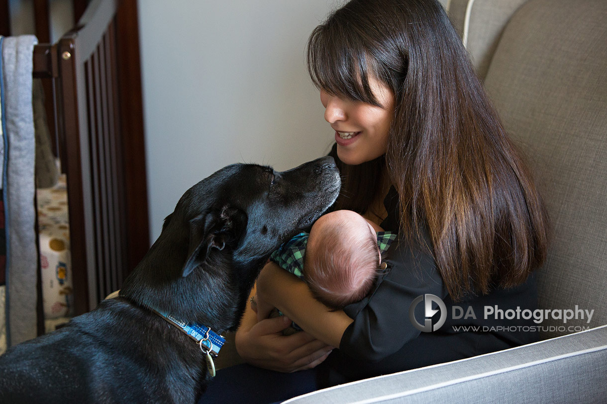 Port Dover lifestyle family photography with dogs