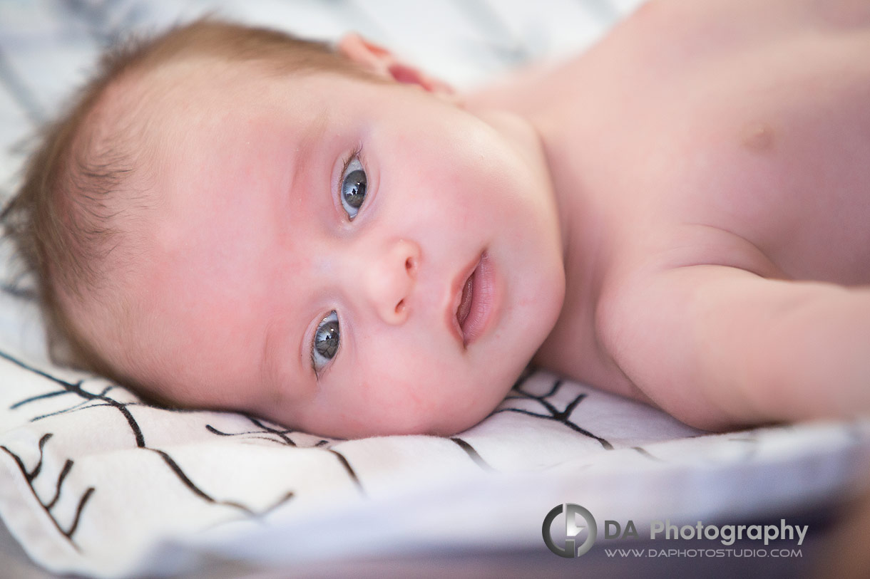 Port Dover newborn photography