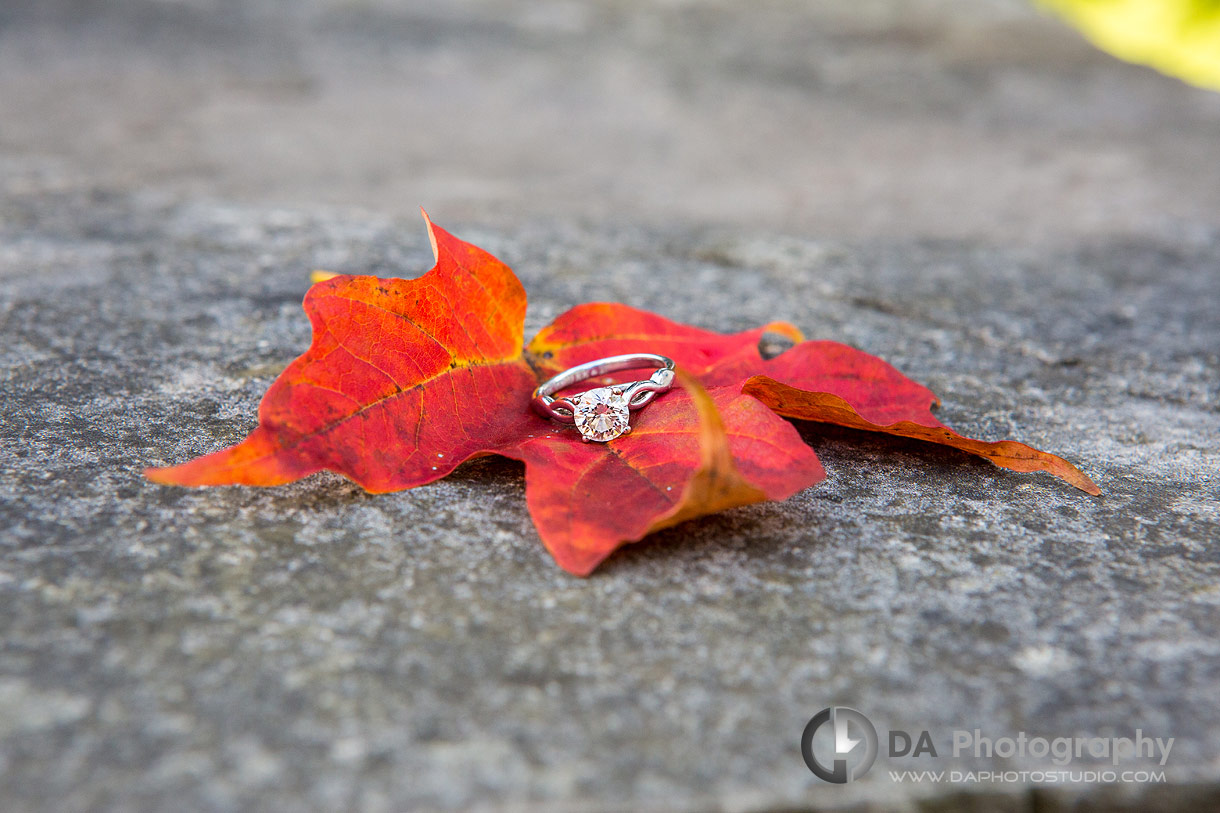 Best Burlington Outdoor Engagement Location