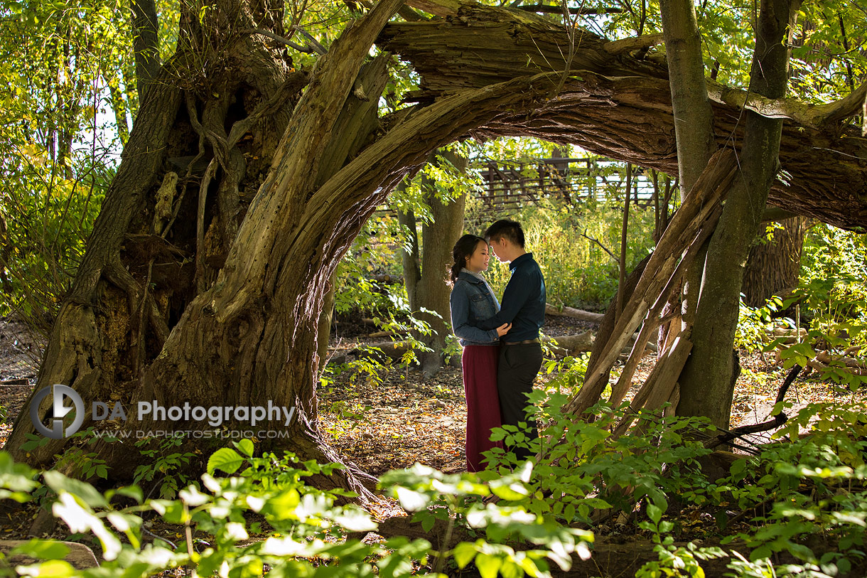 Paletta Mansion Fall Engagement