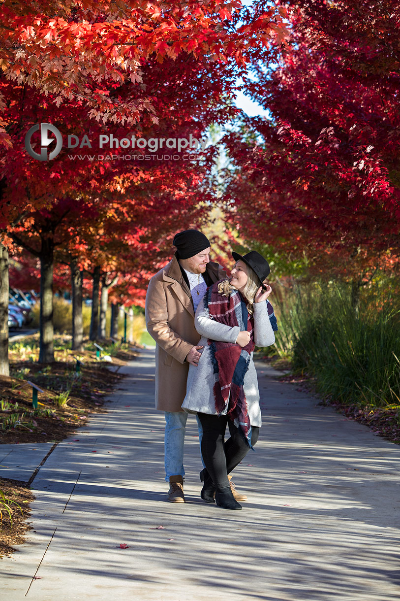 Fall Engagement Photos in Mississauga