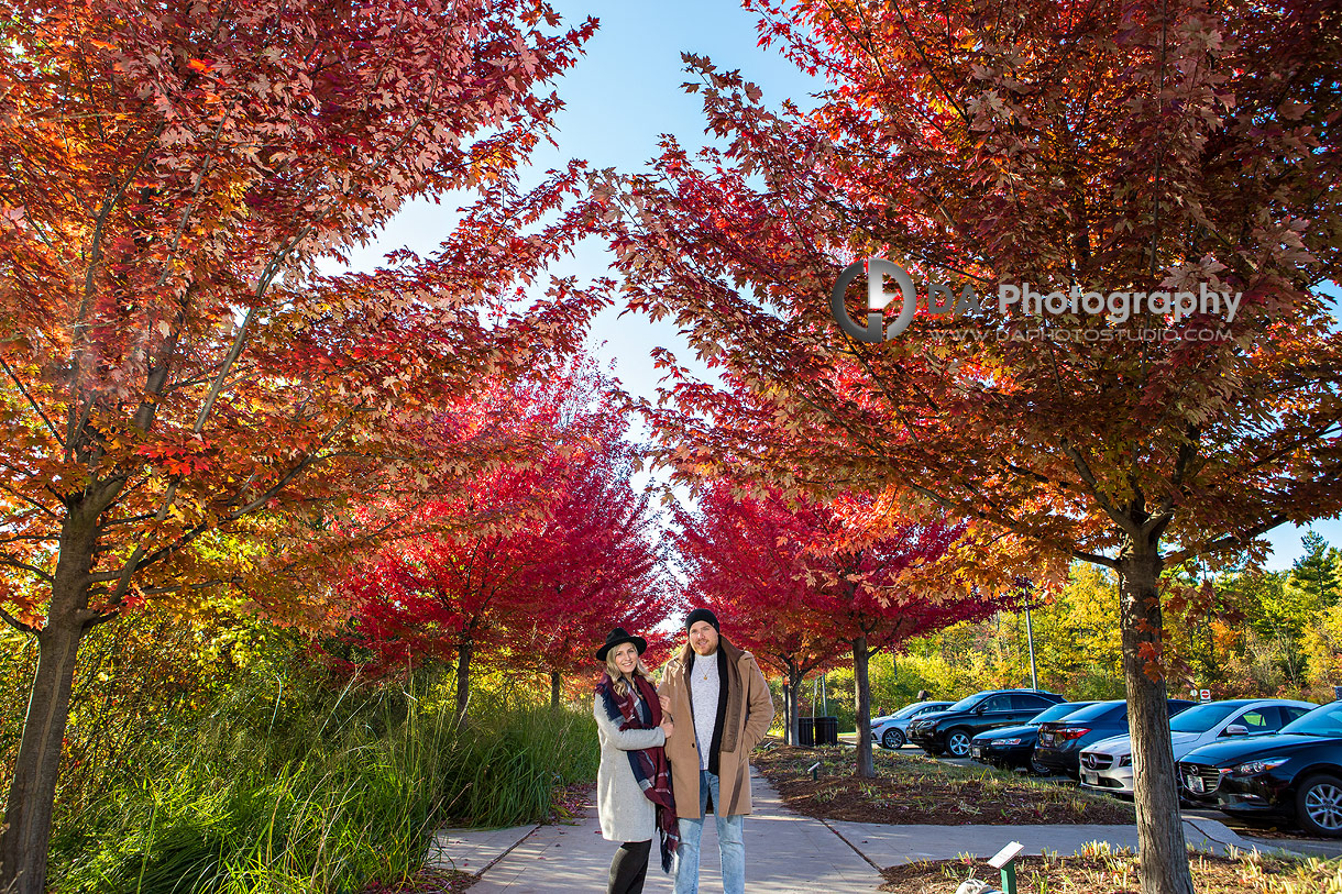 Best Engagement Photos in Mississauga