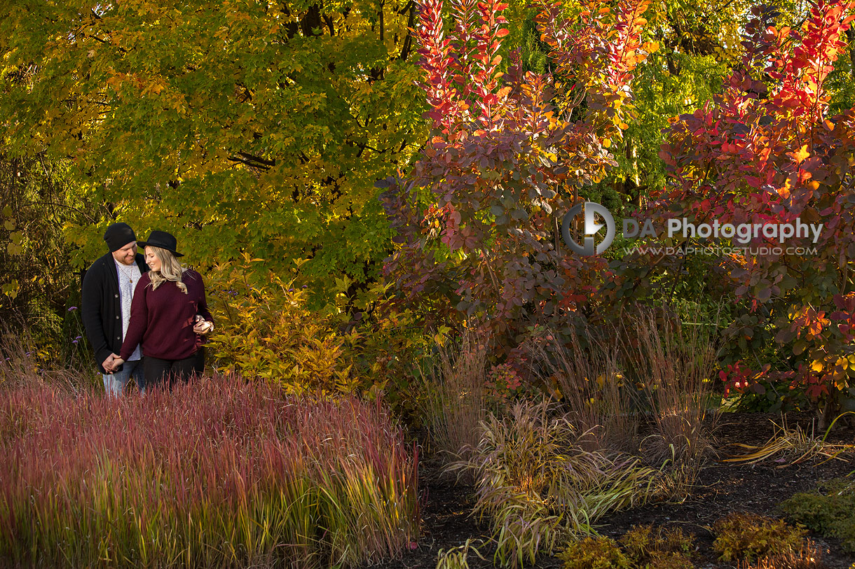 Fall Engagement Pictures in Mississauga