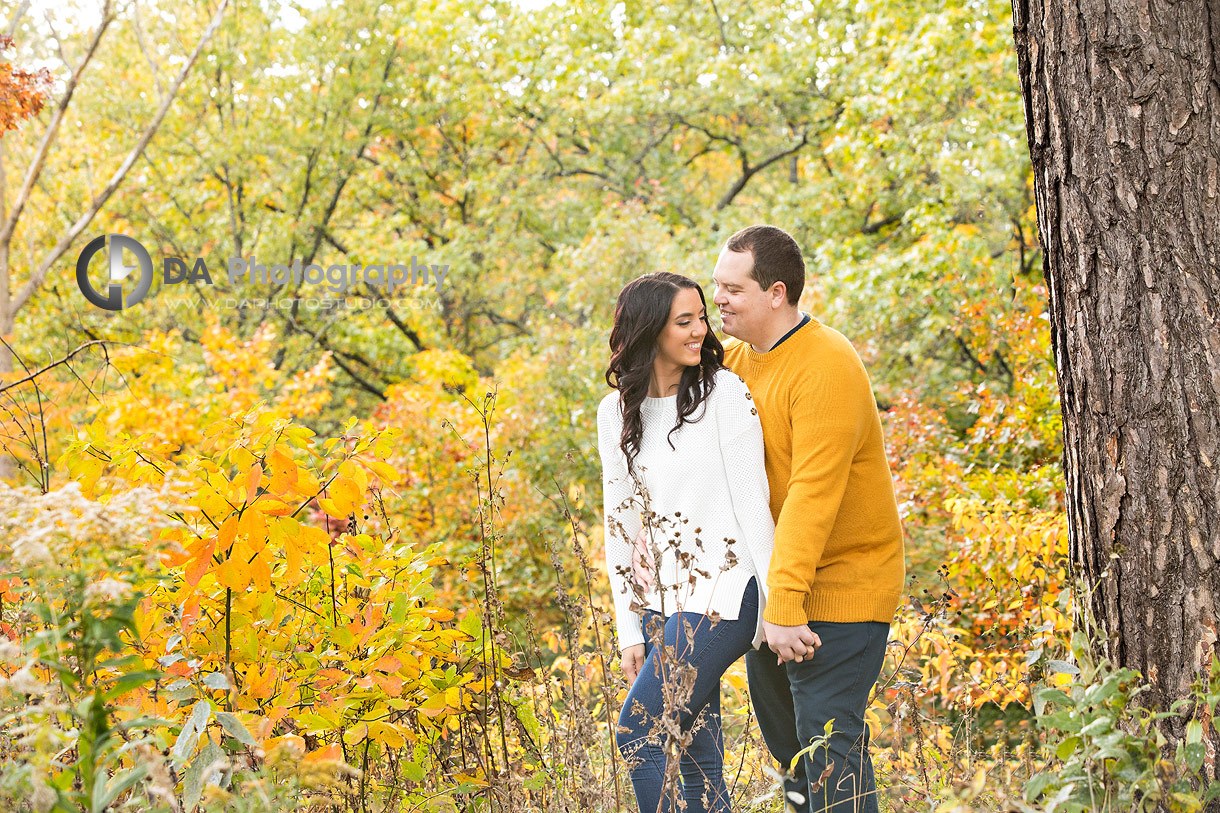 High Park Engagement