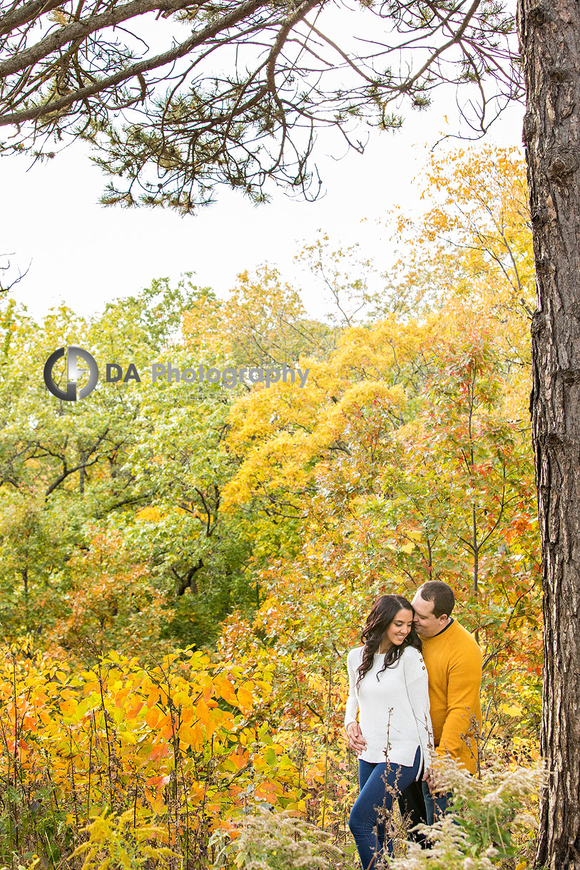 Best Toronto Outdoor Engagement Location