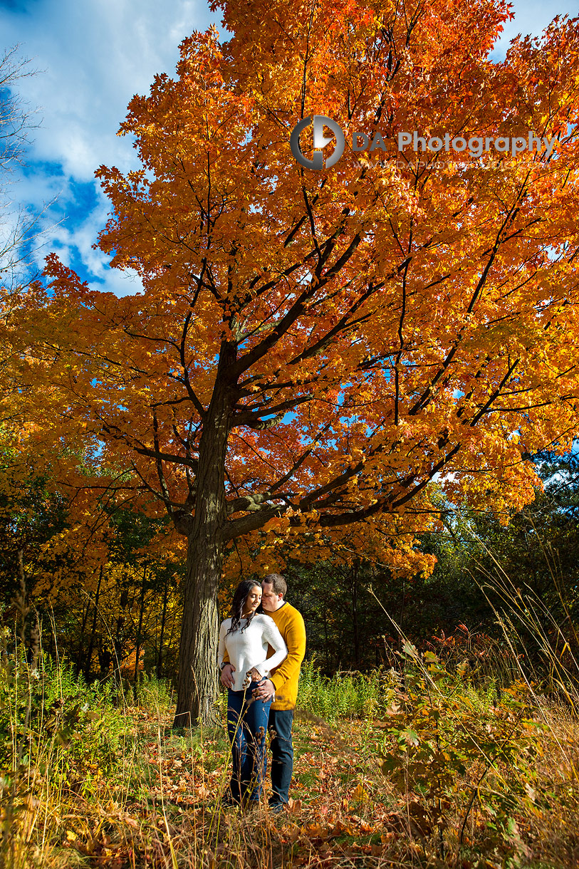 Toronto Engagement Pictures in fall