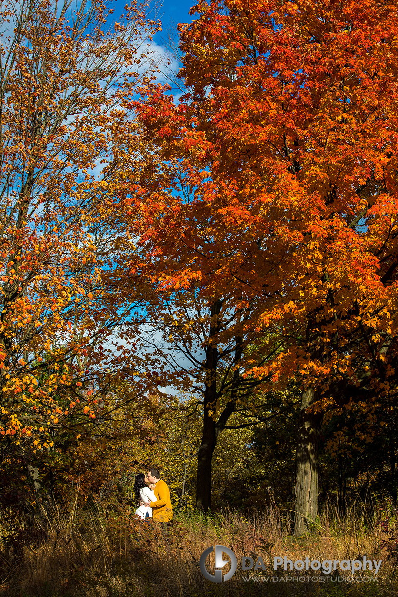 Best Engagement Photographer in Toronto