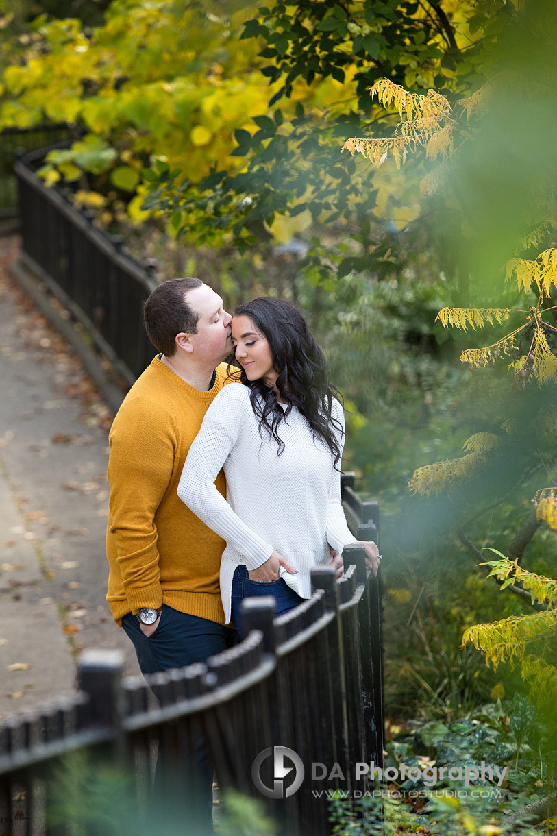 High Park Engagement Photographer