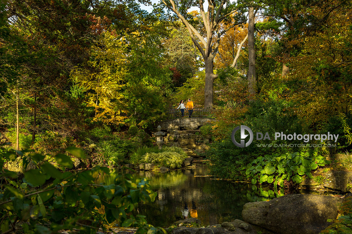 High Park Photographs