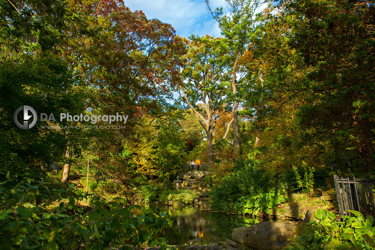 Engagement Photographers for High Park