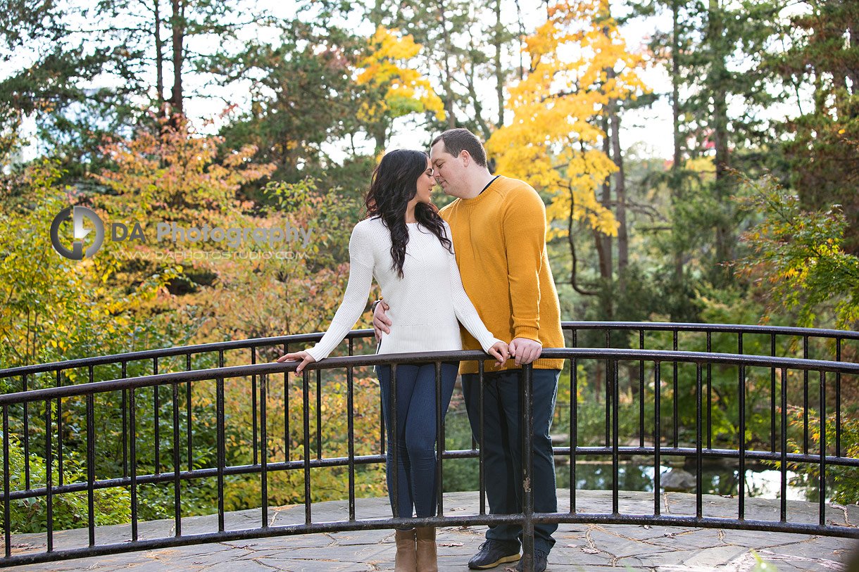 Engagement Photos at High Park in Toronto