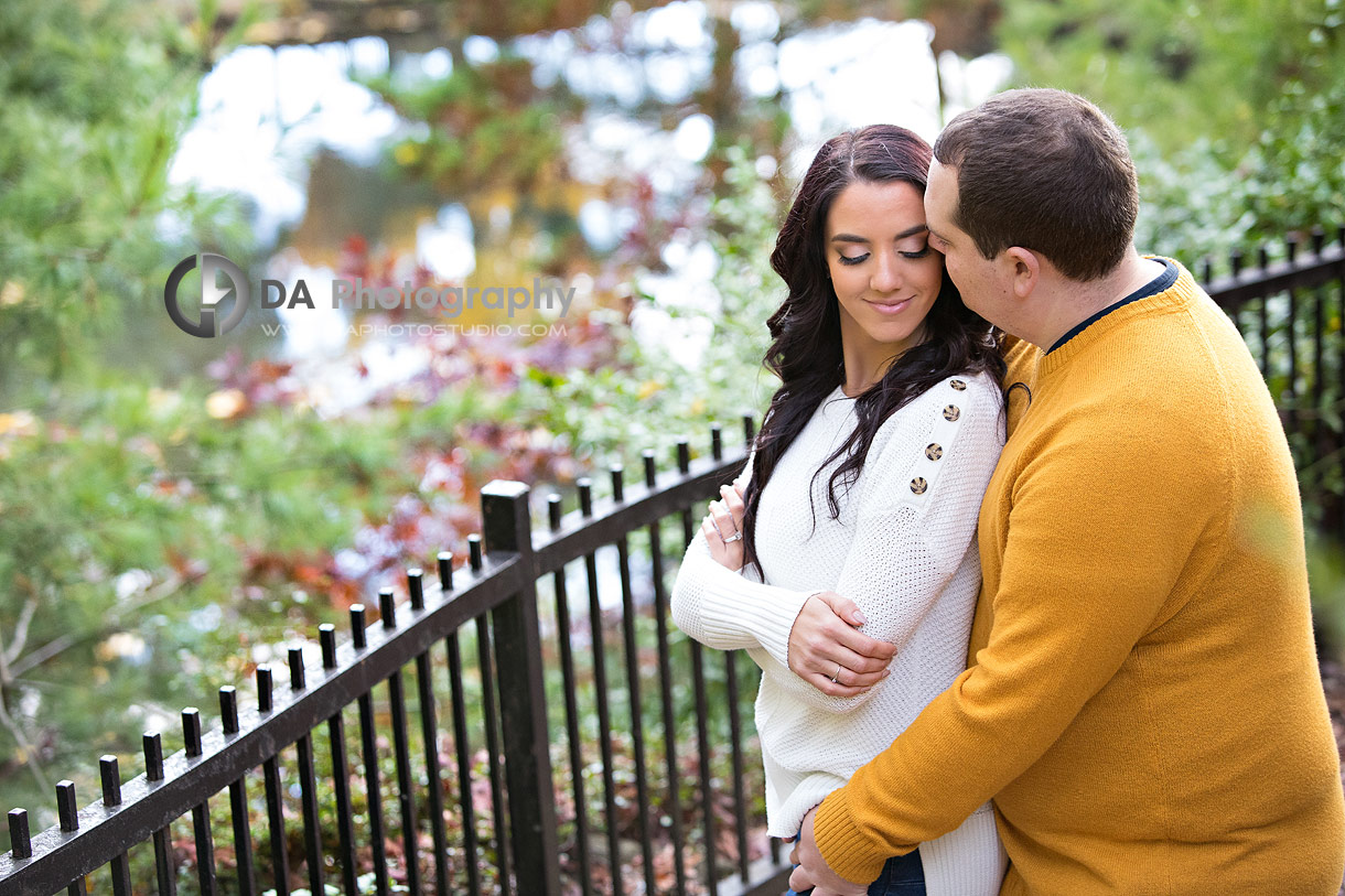 Engagement Photographs at High Park