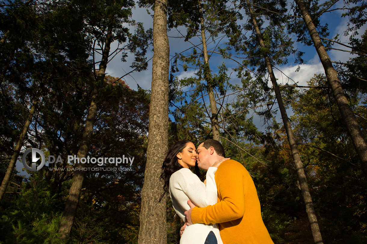 Engagement at High Park in Toronto